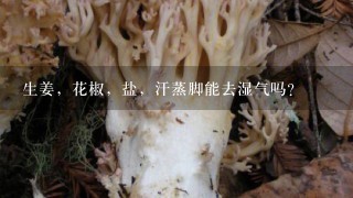 生姜，花椒，盐，汗蒸脚能去湿气吗？