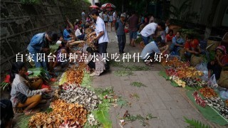 自家阳台想种点水果吃种什么好？