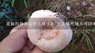 花椒的外表长什么样子的~？去哪些地方可以买到··~··