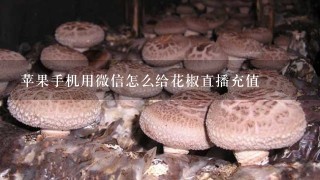 苹果手机用微信怎么给花椒直播充值