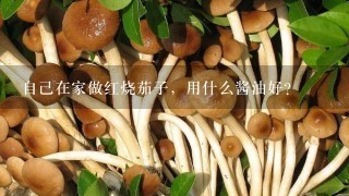 自己在家做红烧茄子，用什么酱油好？