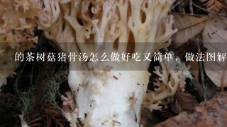 的茶树菇猪骨汤怎么做好吃又简单，做法图解分享，私