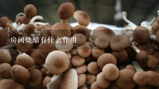 房间烧醋有什么作用