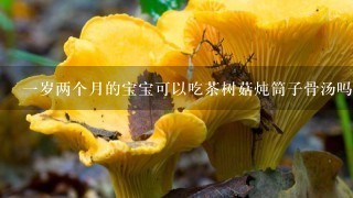 1岁两个月的宝宝可以吃茶树菇炖筒子骨汤吗