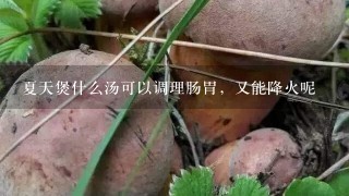 夏天煲什么汤可以调理肠胃，又能降火呢