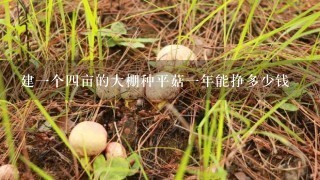 建1个4亩的大棚种平菇1年能挣多少钱