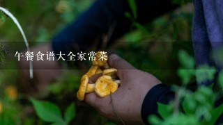 午餐食谱大全家常菜