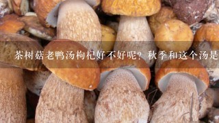 茶树菇老鸭汤枸杞好不好呢？秋季和这个汤是否合适呢？可以给家里的老人小孩喝吗？