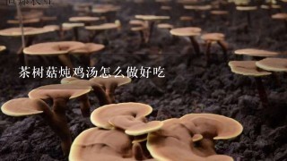 茶树菇炖鸡汤怎么做好吃