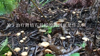 关于治疗肾结石最好的药到底是什么啊