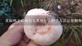 花椒晒干后颜色太黑用什么科学方法让花椒变得更绿？