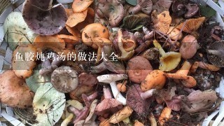 鱼胶炖鸡汤的做法大全