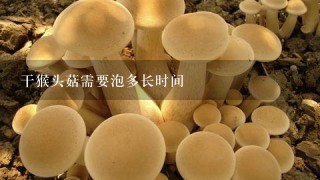 干猴头菇需要泡多长时间