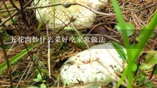 5花肉炒什么菜好吃家常做法