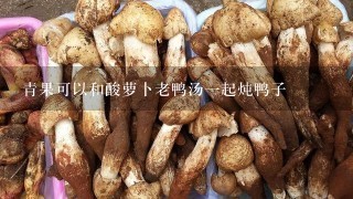 青果可以和酸萝卜老鸭汤1起炖鸭子