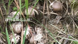 新鲜花椒怎么晒？