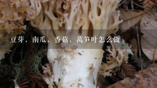 豆芽，南瓜，香菇，莴笋叶怎么做