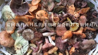 请问谁有8月瓜的详细培育资料以及如何对8月瓜进行留果