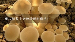 重庆酸萝卜老鸭汤蘸料做法？