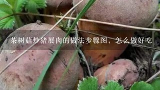 茶树菇炒猪展肉的做法步骤图，怎么做好吃