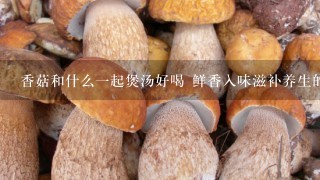 香菇和什么1起煲汤好喝 鲜香入味滋补养生的美味汤