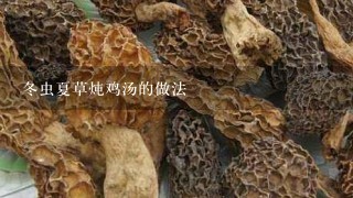 冬虫夏草炖鸡汤的做法