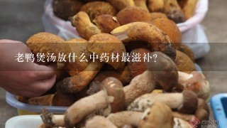 老鸭煲汤放什么中药材最滋补？