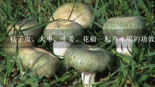 桔子皮，大枣，生姜，花椒1起煮水喝的功效与作用是什么？对虚寒性体质有什么影响吗？