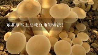 东北家常土豆炖豆角的做法？