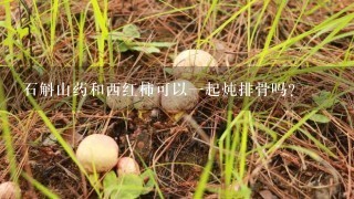 石斛山药和西红柿可以1起炖排骨吗?