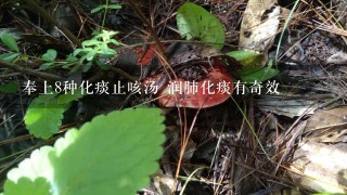 奉上8种化痰止咳汤 润肺化痰有奇效