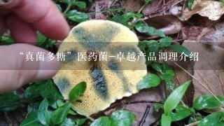 “真菌多糖”医药菌-卓越产品调理介绍