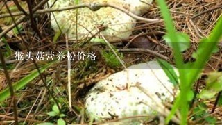 猴头菇营养粉价格