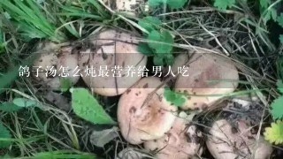 鸽子汤怎么炖最营养给男人吃