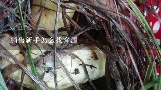 销售新手怎么找客源