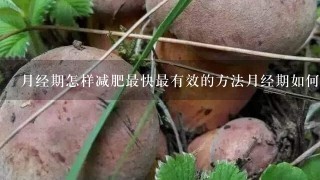 月经期怎样减肥最快最有效的方法月经期如何减肥最快最有效