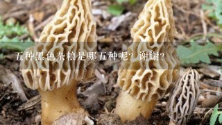 5种黑色杂粮是哪5种呢？谢谢？