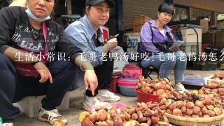 生活小常识：毛哥老鸭汤好吃!毛哥老鸭汤怎么做?