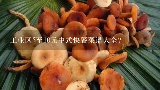 工业区5至10元中式快餐菜谱大全？