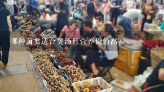 哪种菌类适合煲汤且营养价值高？