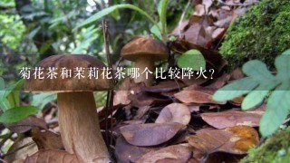 菊花茶和茉莉花茶哪个比较降火？