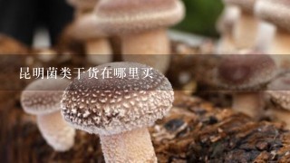 昆明菌类干货在哪里买