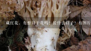 藏红花，有整只干花吗？长什么样子？有图片吗？