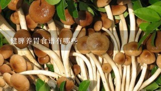 健脾养胃食谱有哪些