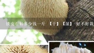 铁皮石斛多少钱1斤 【干】【湿】 好不好栽培 在山东适应了吗？