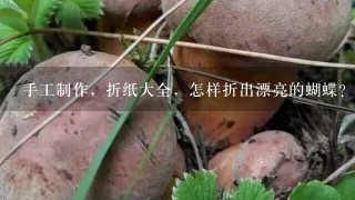 手工制作，折纸大全，怎样折出漂亮的蝴蝶？