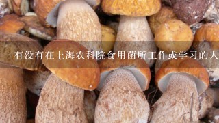 有没有在上海农科院食用菌所工作或学习的人，能不能简介1下贵所？