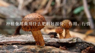 种植食用菌用什么肥料好报价，作用，行情