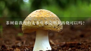 茶树菇我泡的太多吃不完明天再烧可以吗？