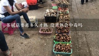 茶树菇要煮多久才熟 没煮熟会中毒吗